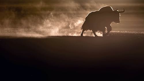 Vincent Munier