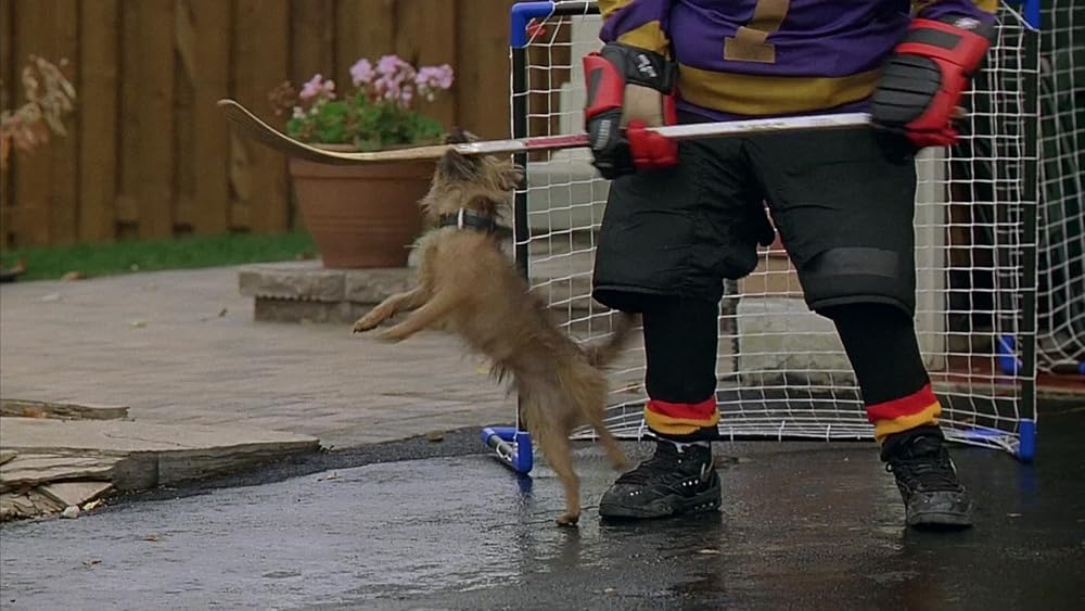 گاز گرفتن جینجر