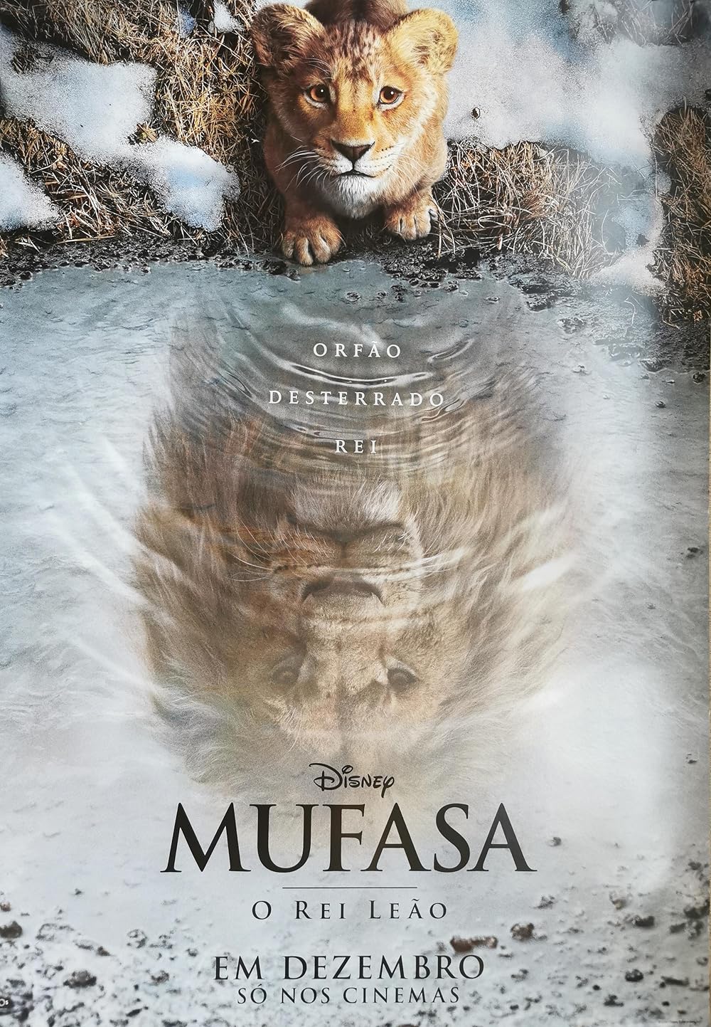 موفاسا: فرمانروای شیرها