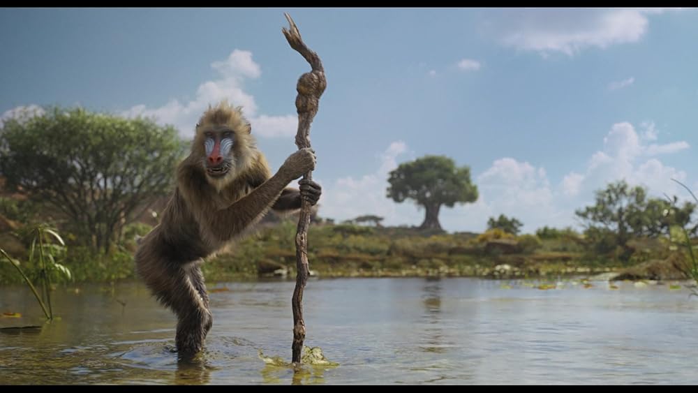 موفاسا: فرمانروای شیرها