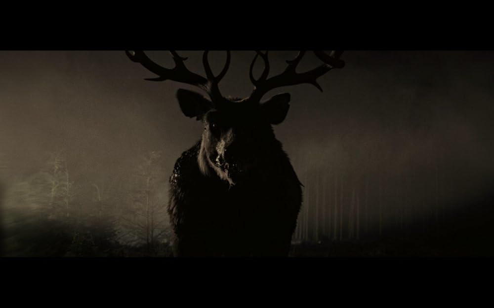 بامبی: تسویه حساب