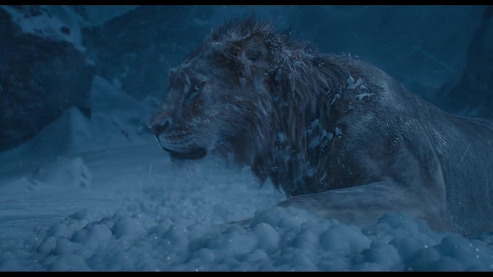 موفاسا: فرمانروای شیرها