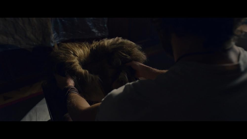 کراون شکارچی