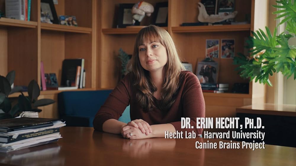 درون ذهن یک سگ