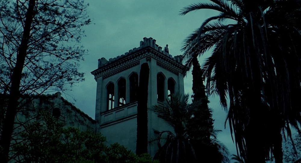 در یک قفسه شیشه ای