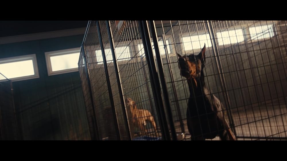 لیلو و استیچ