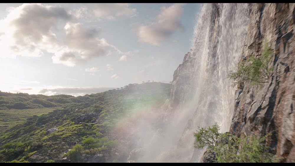 موفاسا: فرمانروای شیرها