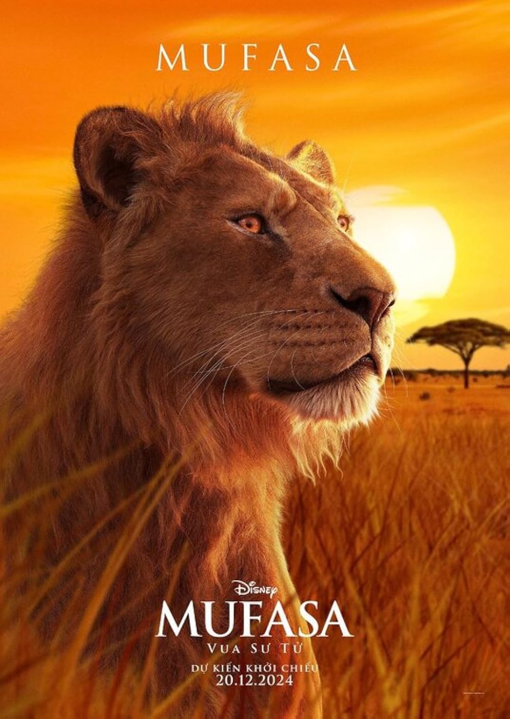 موفاسا: فرمانروای شیرها