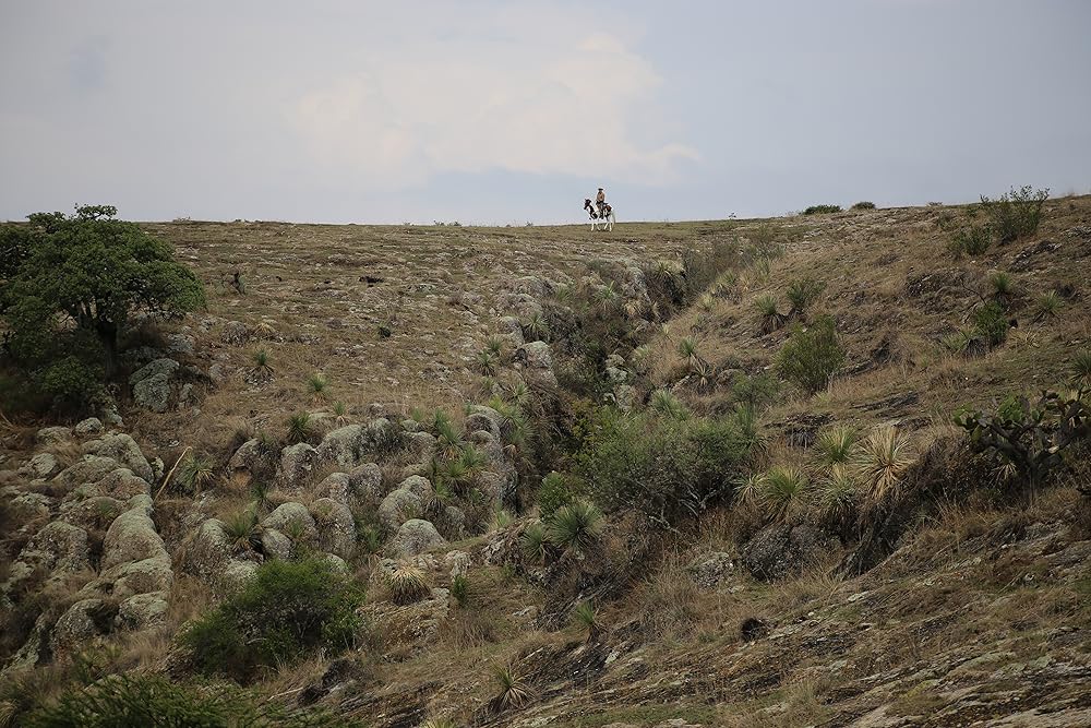 سرزمین بی صاحب