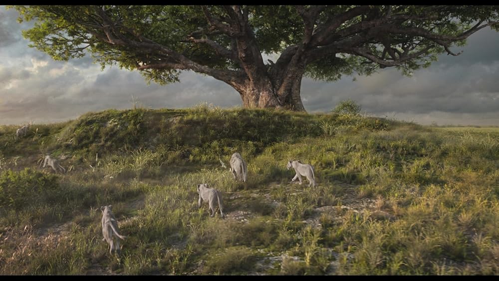 موفاسا: فرمانروای شیرها