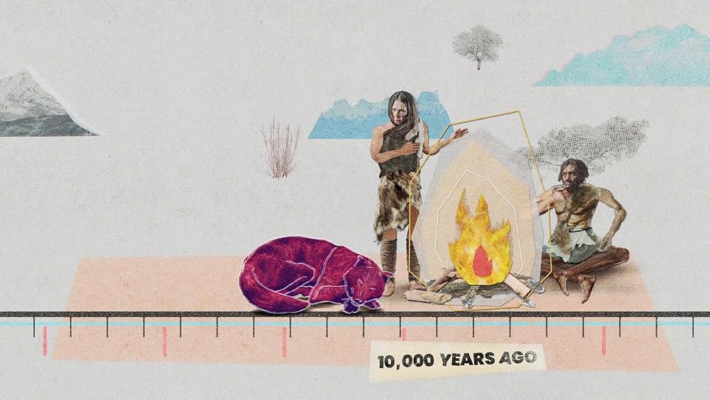 درون ذهن یک سگ