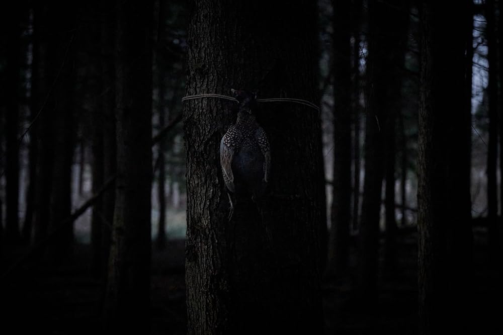 بامبی: تسویه حساب