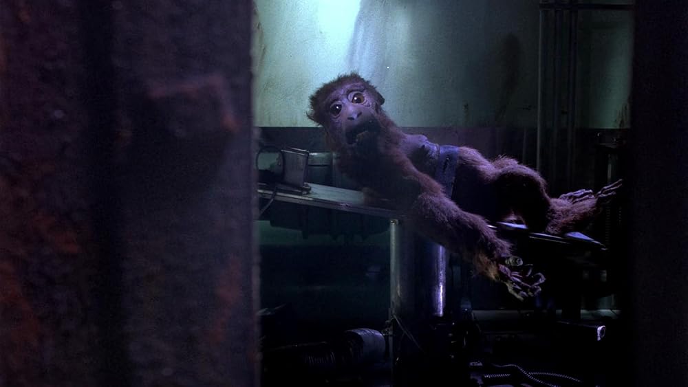 خدای دیوانه