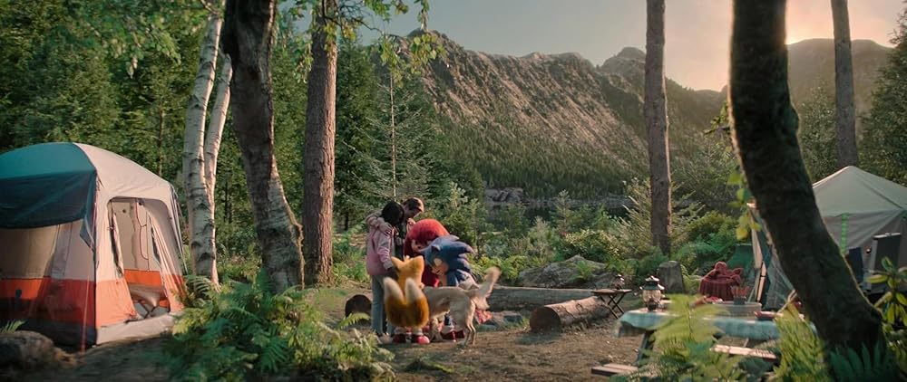 سونیک خارپشت ۳