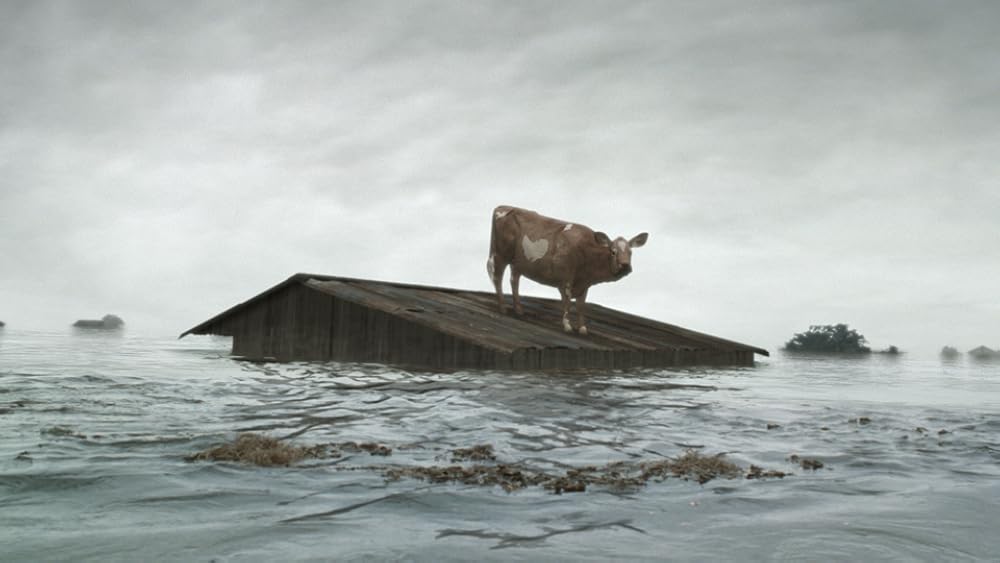 ای برادر، کجایی؟