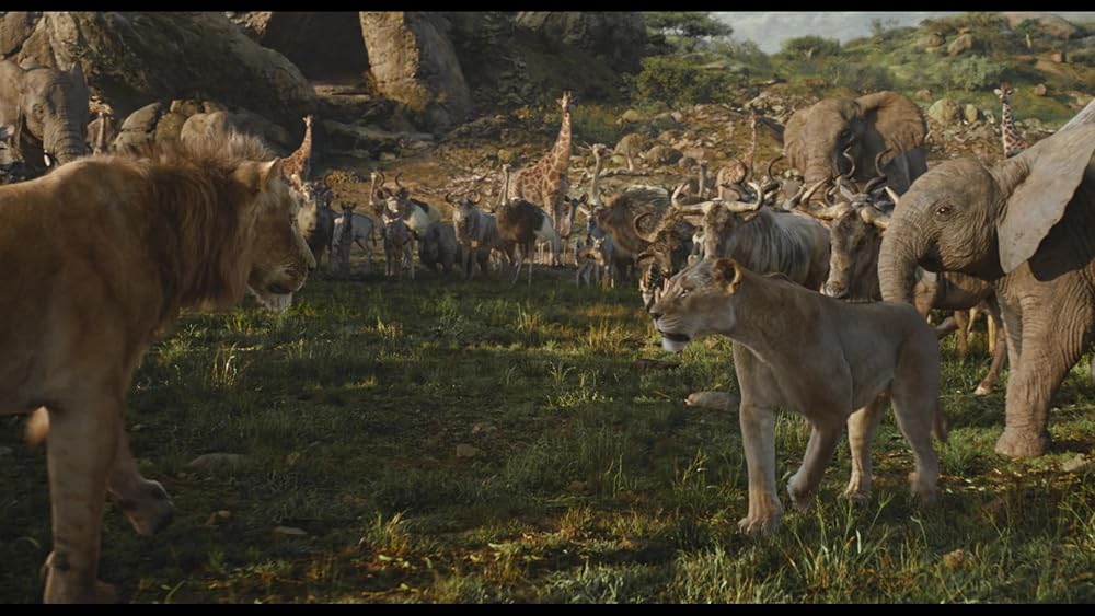 موفاسا: فرمانروای شیرها