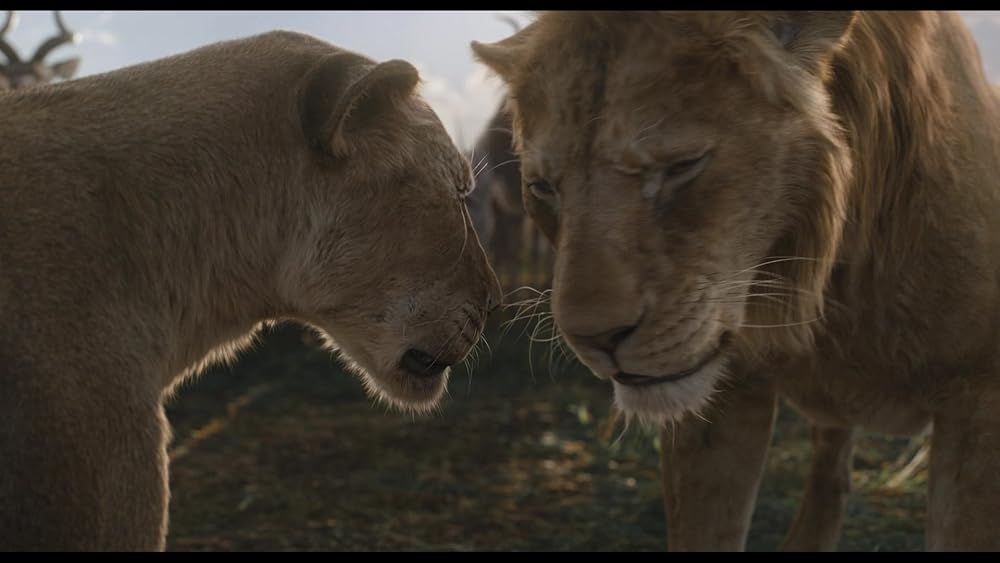 موفاسا: فرمانروای شیرها