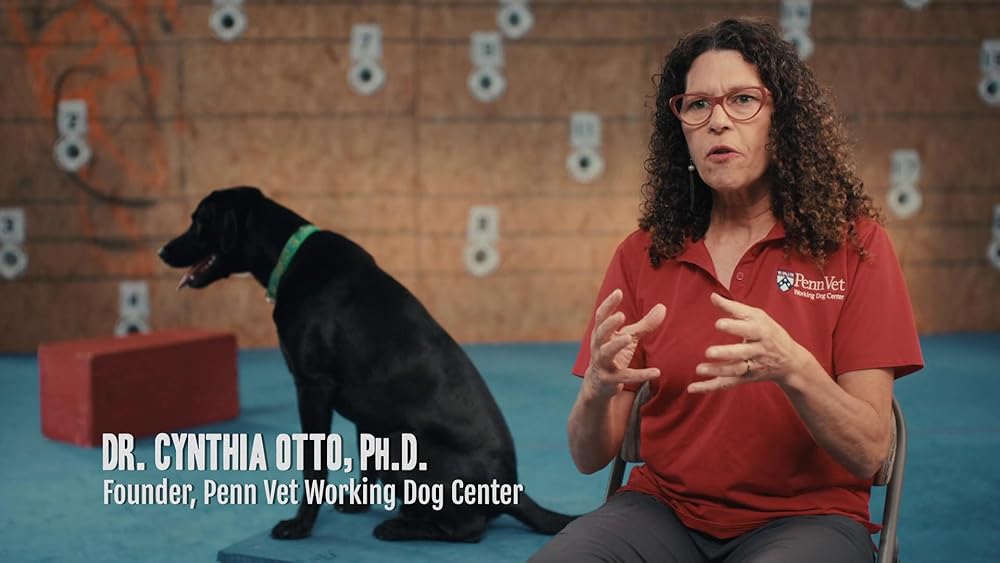 درون ذهن یک سگ