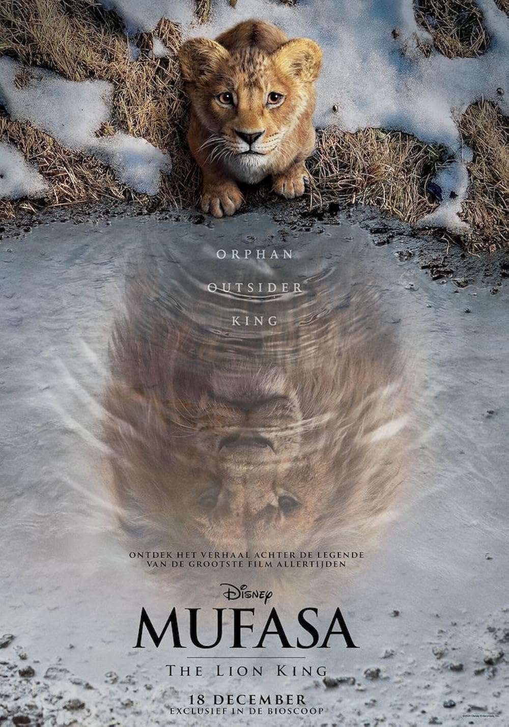 موفاسا: فرمانروای شیرها