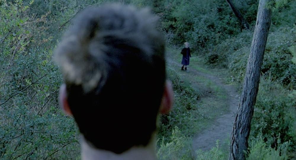 در یک قفسه شیشه ای