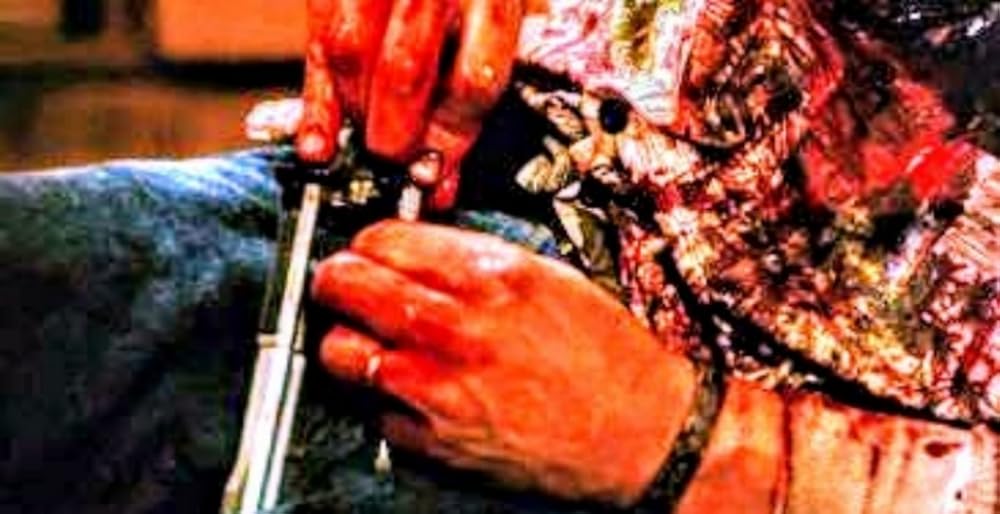 از گرگ‌ و میش تا سحر