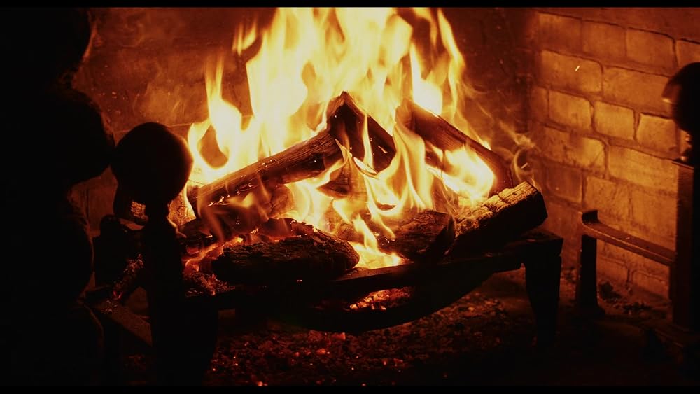 آنچه در وحشی گذشت؛ مروری بر فصل اول