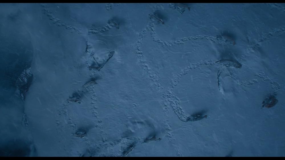 موفاسا: فرمانروای شیرها