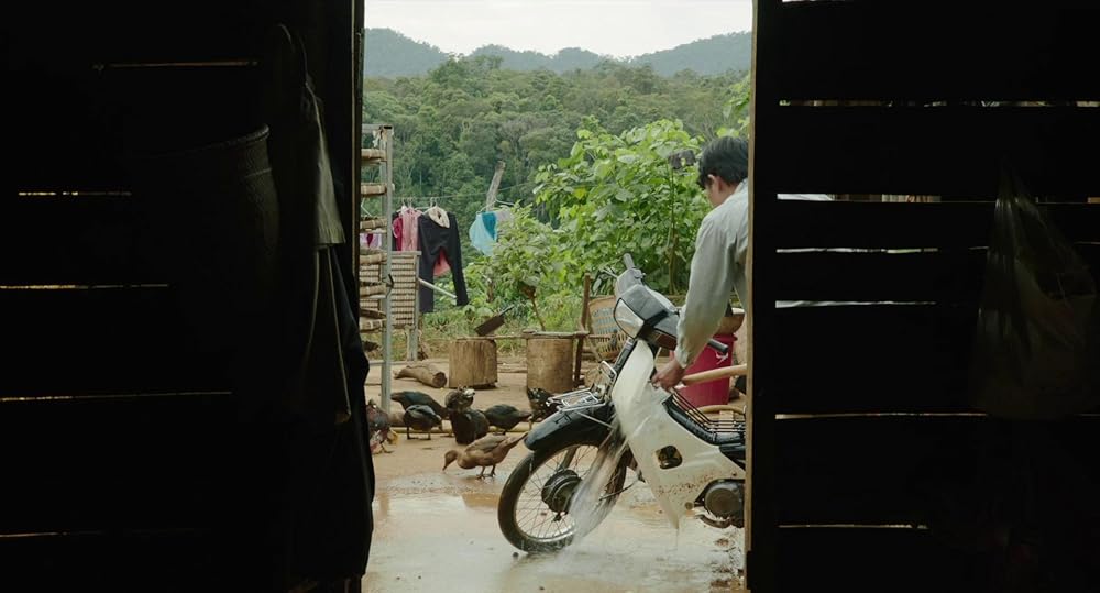 درون پوسته پیله زرد