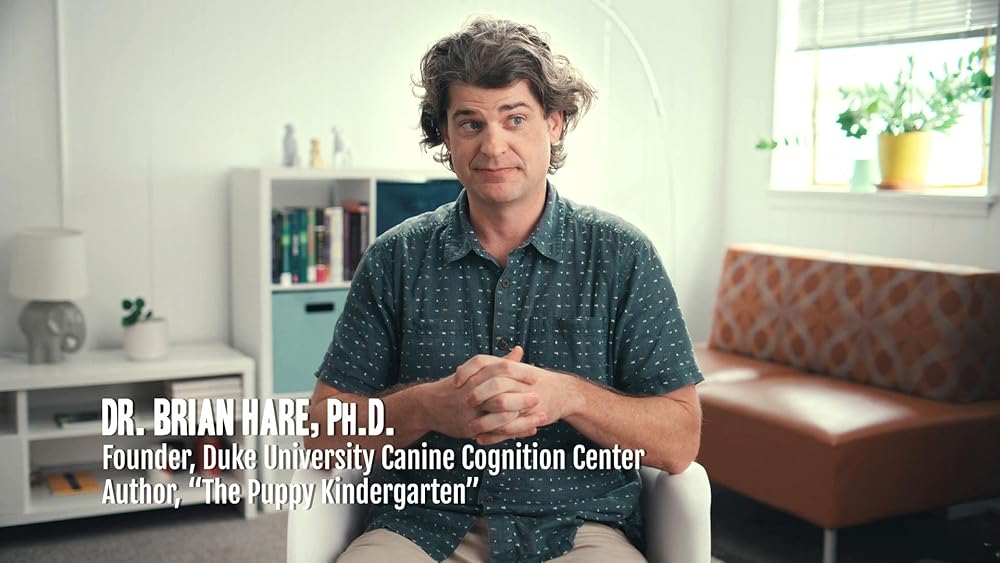 درون ذهن یک سگ