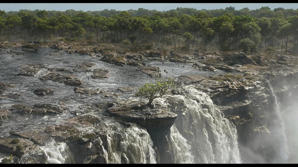 موفاسا: فرمانروای شیرها