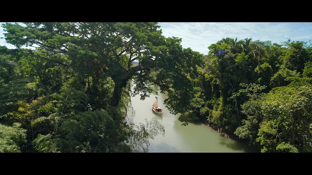 پدینگتون در پرو