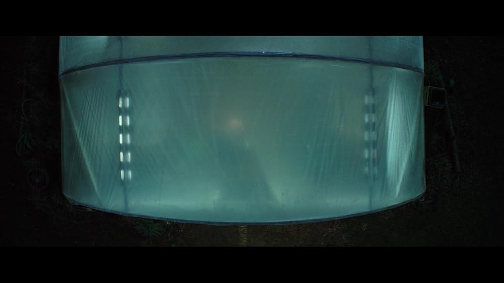 مرد گرگ نما