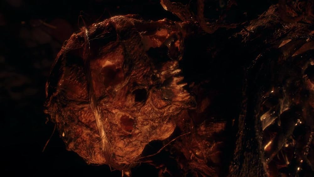 خدای دیوانه