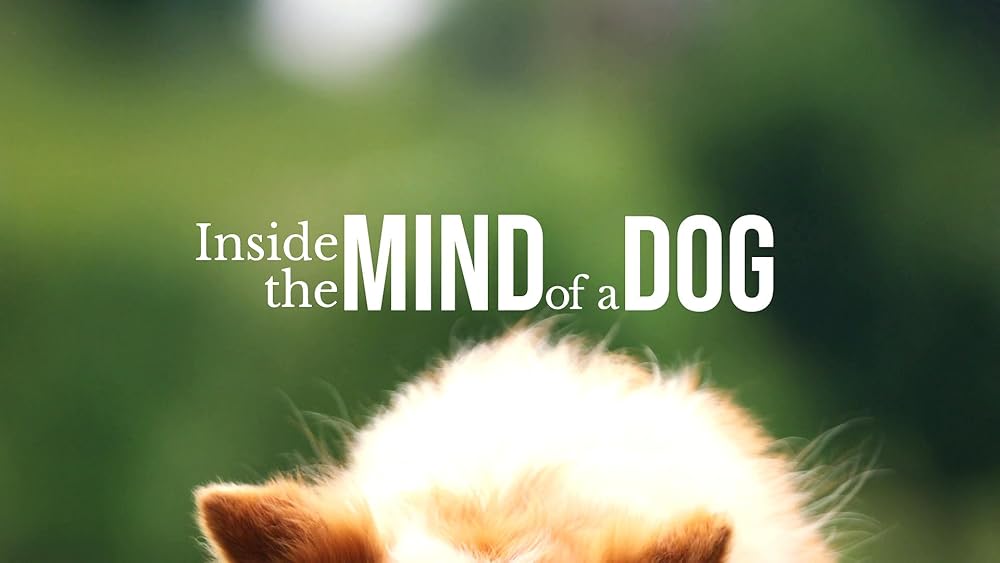 درون ذهن یک سگ