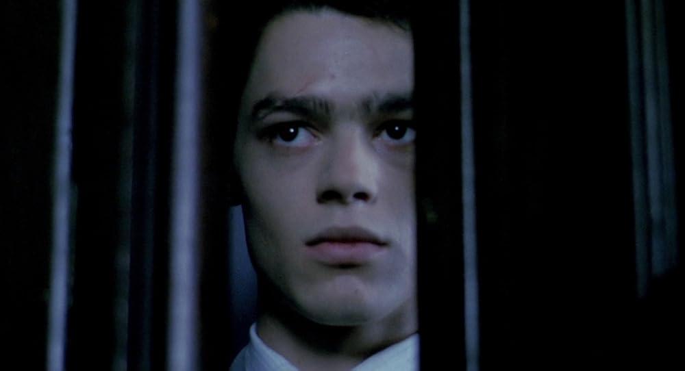 در یک قفسه شیشه ای