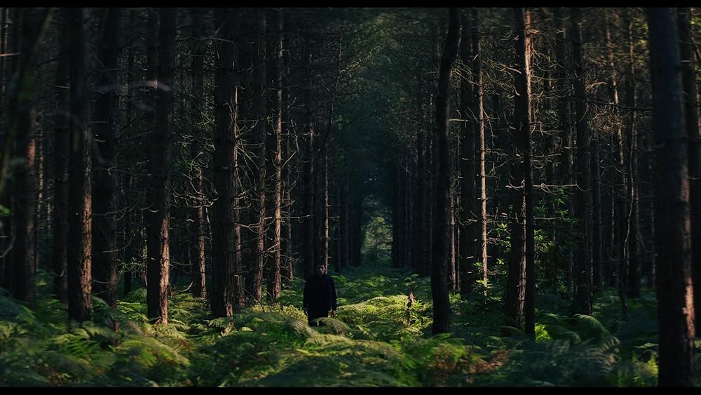 آنچه در وحشی گذشت؛ مروری بر فصل اول