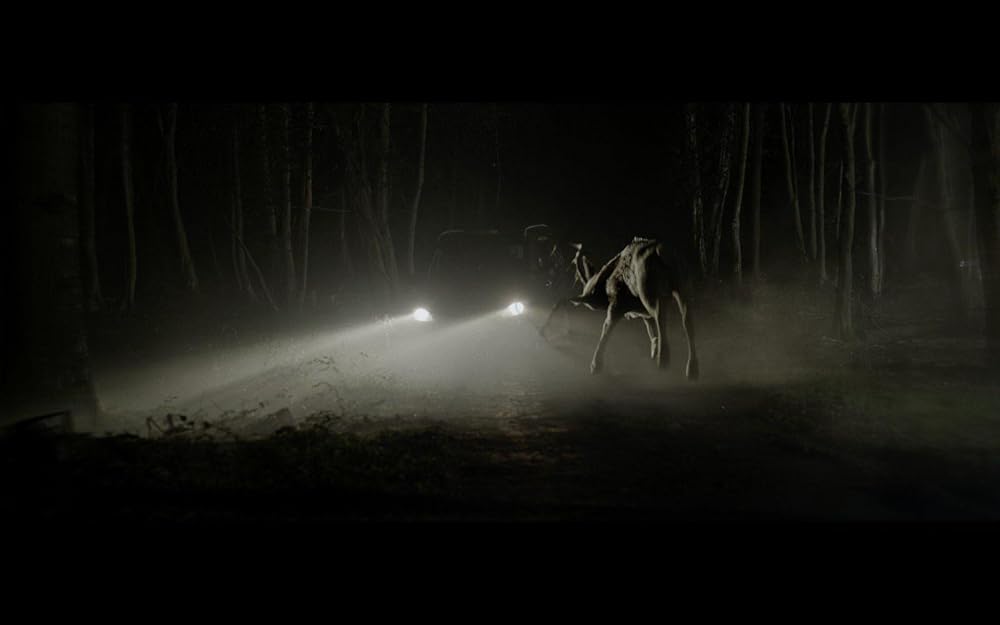 بامبی: تسویه حساب