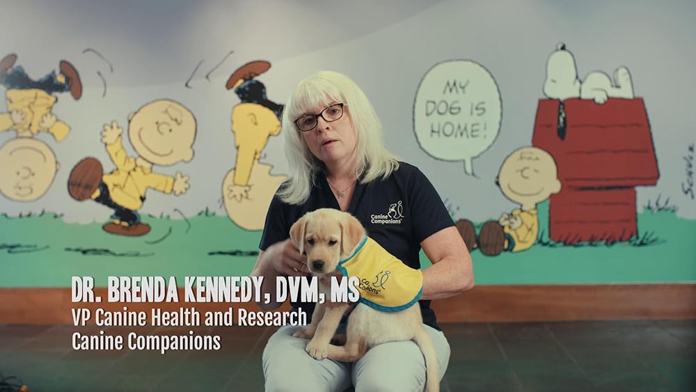 درون ذهن یک سگ