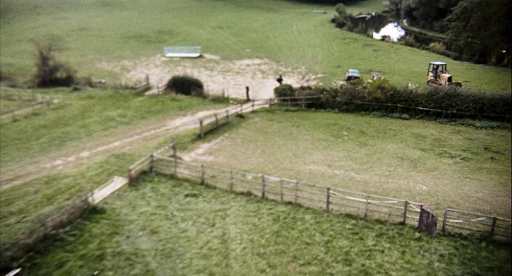 ۲۸ هفته بعد