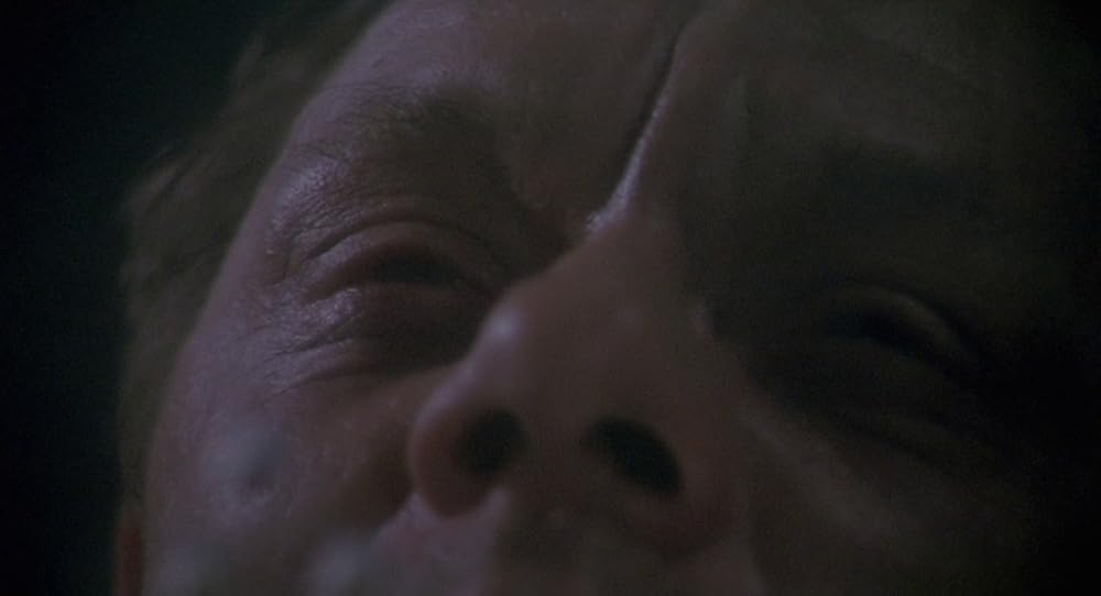 در یک قفسه شیشه ای