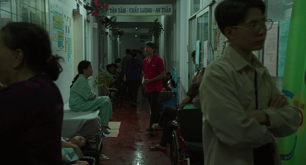 درون پوسته پیله زرد