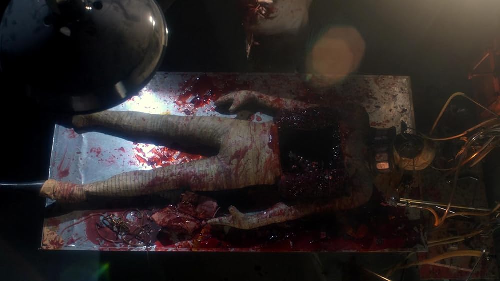 خدای دیوانه