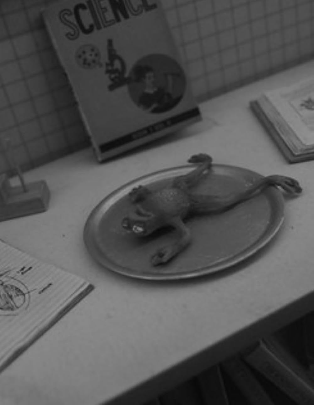 فرنکن‌وینی