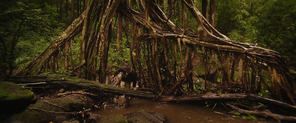 کونگ جزیره جمجمه