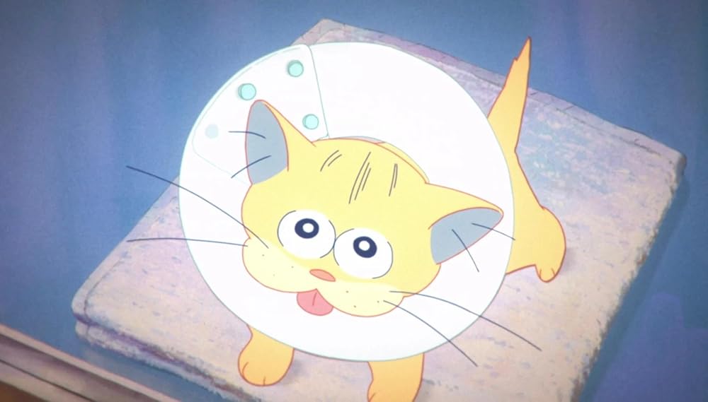 آنزو، گربه شبحی