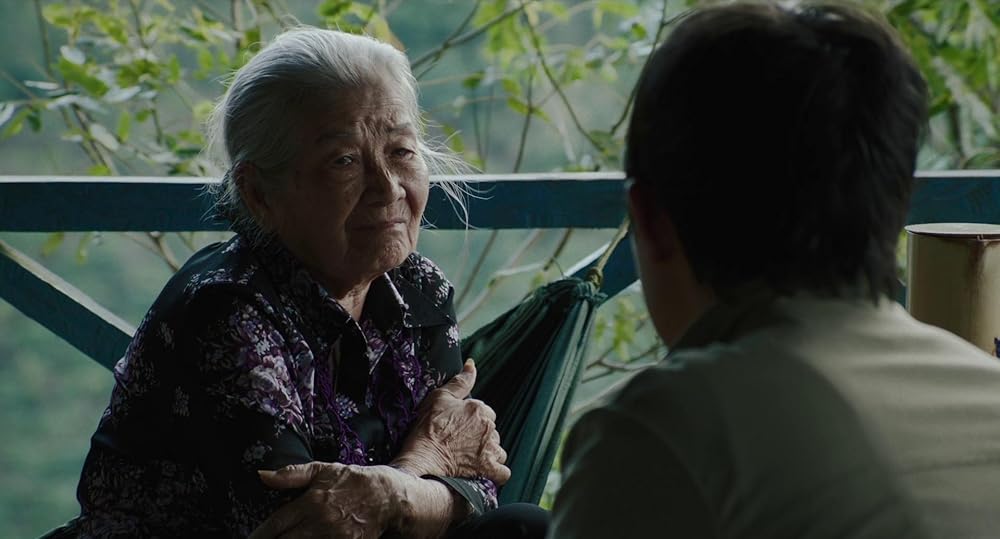 درون پوسته پیله زرد