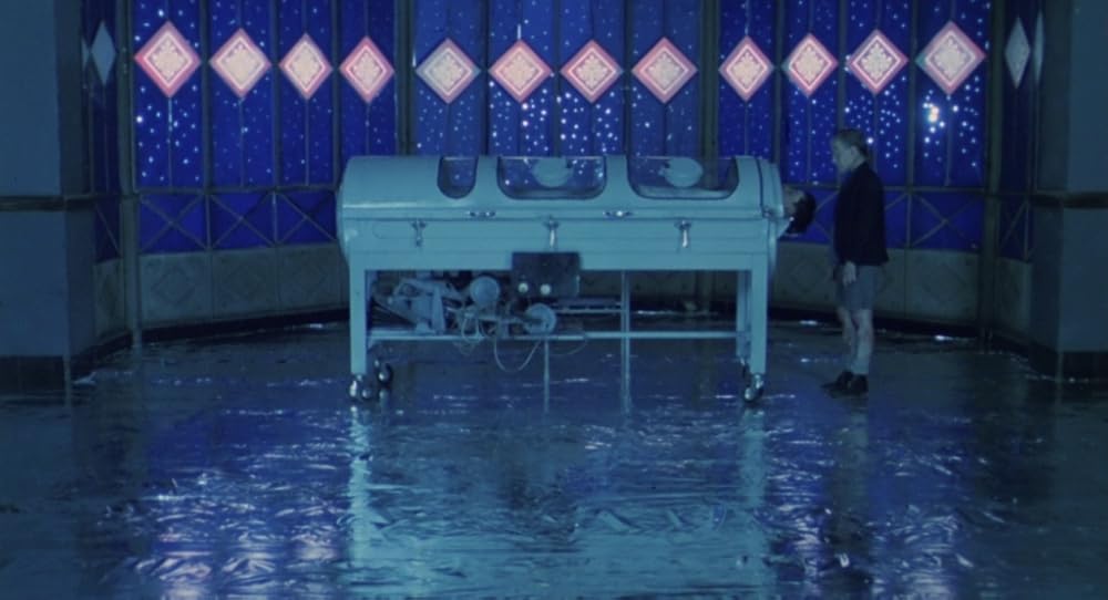 در یک قفسه شیشه ای