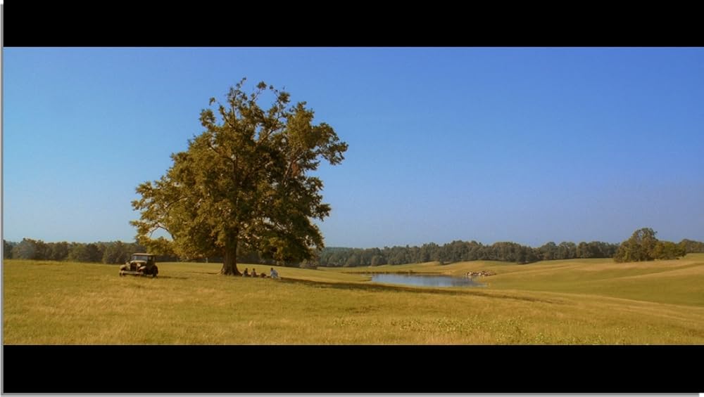 ای برادر، کجایی؟