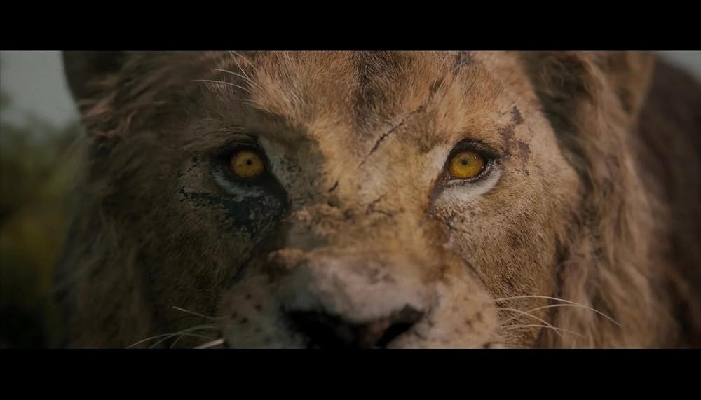 کراون شکارچی