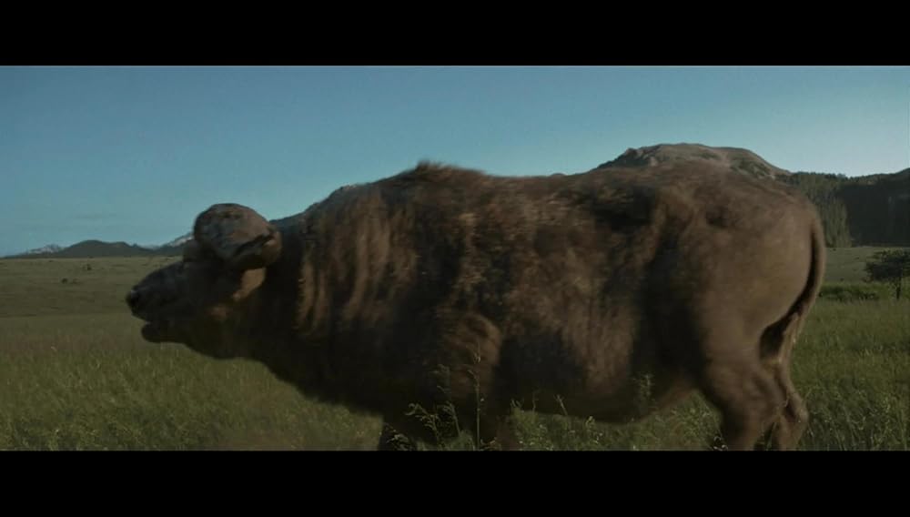 کراون شکارچی